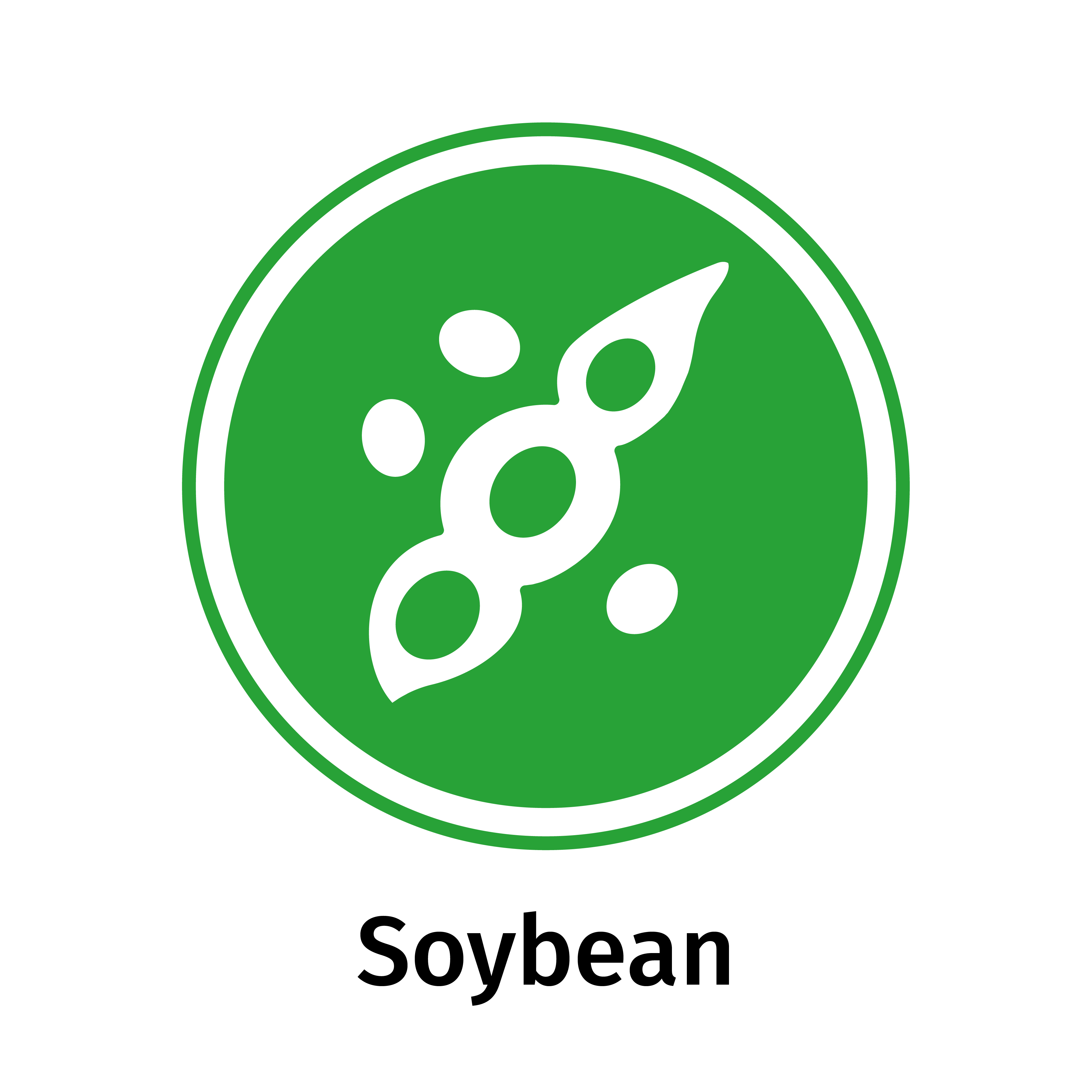 Soya